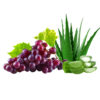 Aloe Vera Grape - OEM Vape Juice Original Equipment Manufacturer
